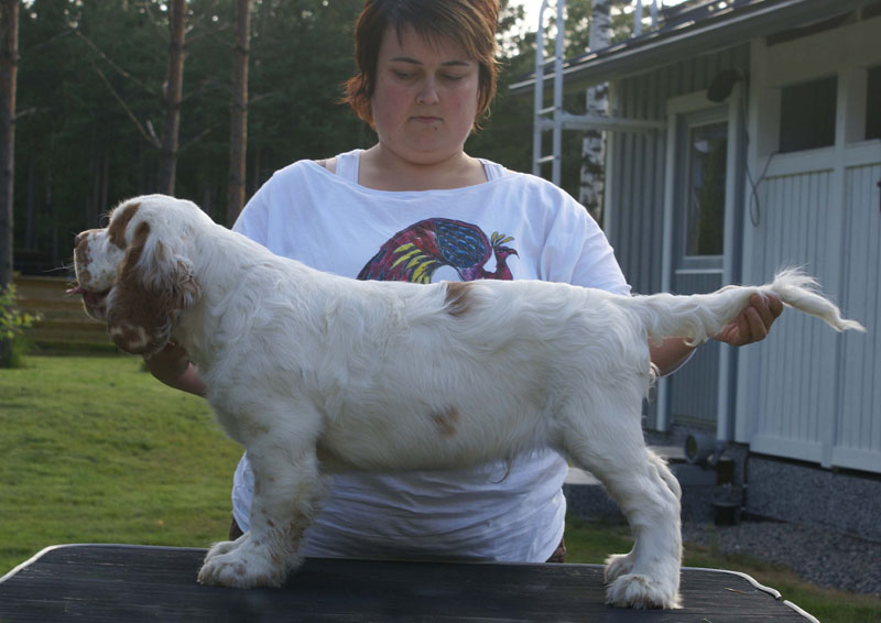 x_Kerkko_15weeks_a