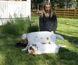 Rocky-litter_15weeks_g