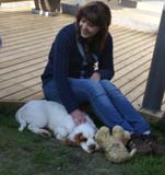 Rocky-litter_15weeks_y