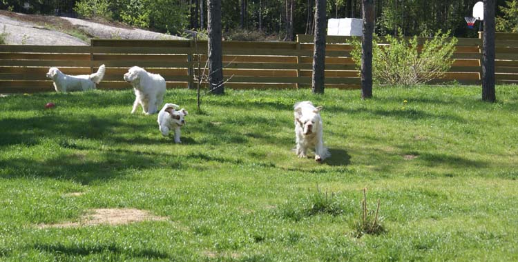 Carla_11weeks_Hilla_Bumbaa_Cotton