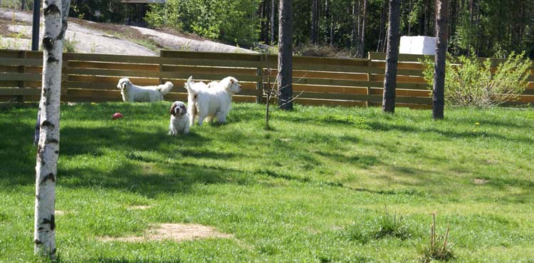 Carla_11weeks_Hilla_Bumbaa_Cotton_b