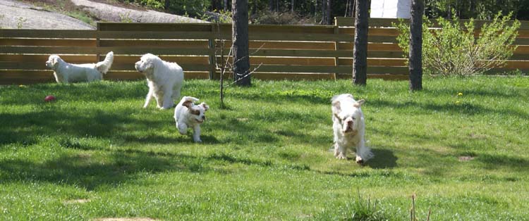 Carla_11weeks_Hilla_Bumbaa_Cotton_c