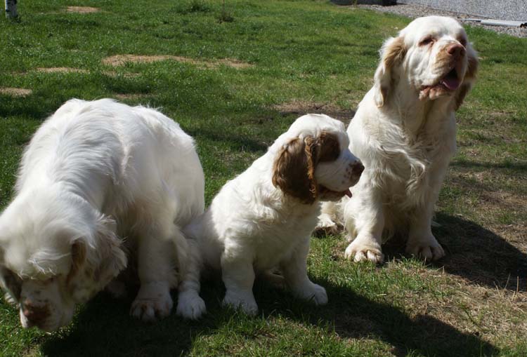 Carla_11weeks_Hilla_Bumbaa_b