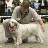 photo: Zuzana Navelkova