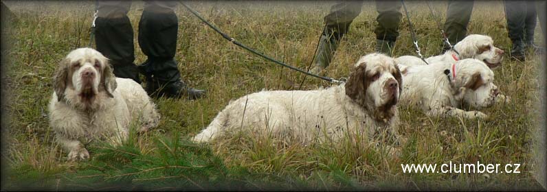 Ira_Ondra_Chili_Missy