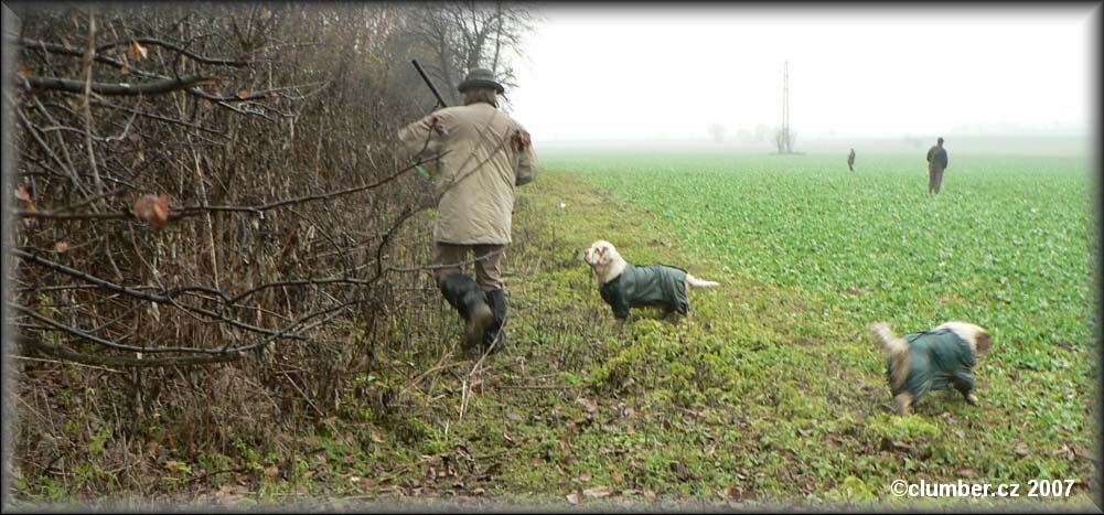 Hunting