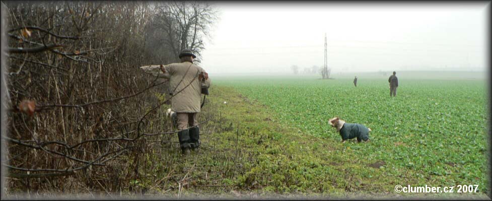 Hunting
