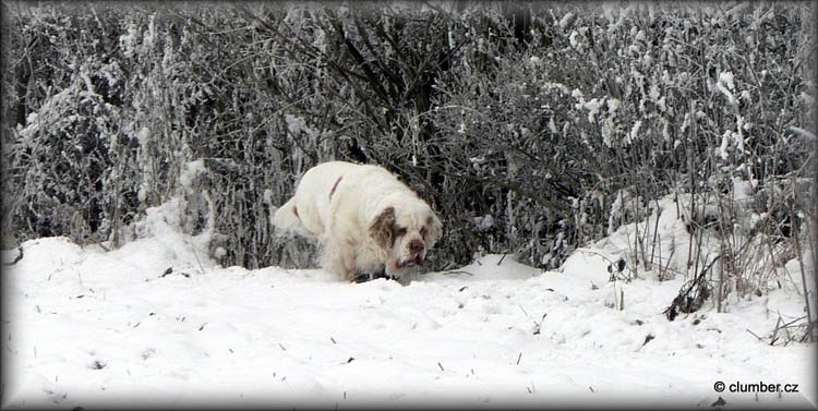 2011_01_30_Little_Ira_Winter_walk_(2)