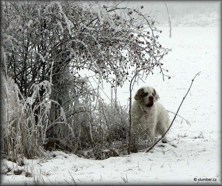 2011_01_30_Little_Ira_Winter_walk_