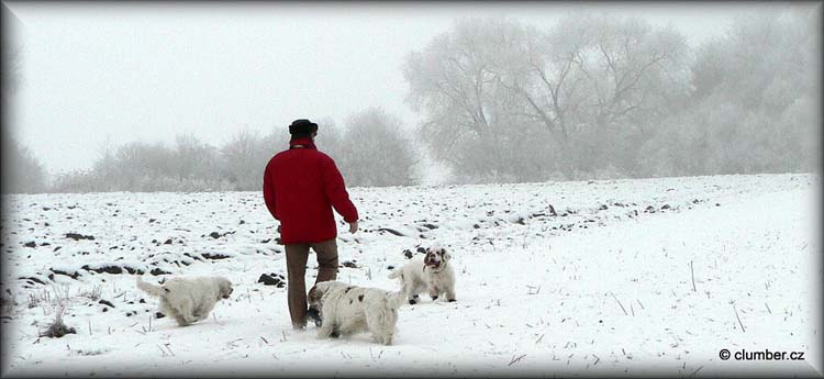 2011_01_30_Winter_walk_