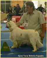 photo: Zuzana Navelkova