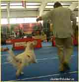  photo: Zuzana Navelkova