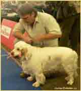  photo: Zuzana Navelkova