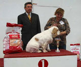 click to view closer