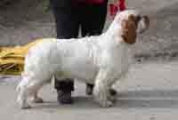 Erinveine Run Up The Colors 13 months old