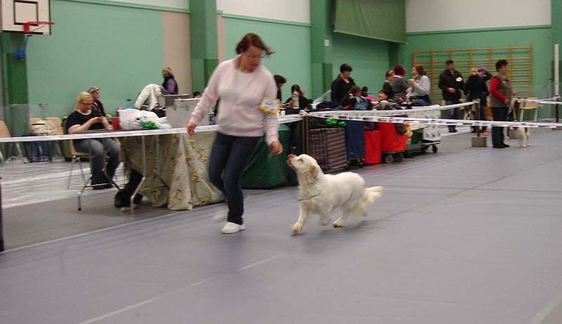 Kerimaki_7March2010_Hilla_b