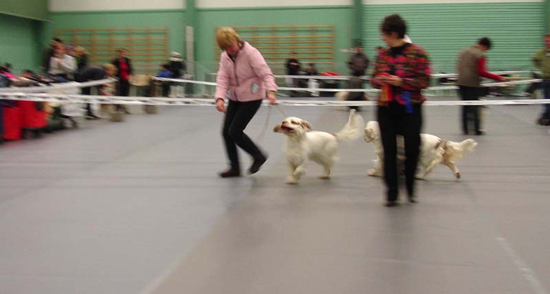 Kerimaki_7March2010_Keke_Hilla_BOB_BOS_b