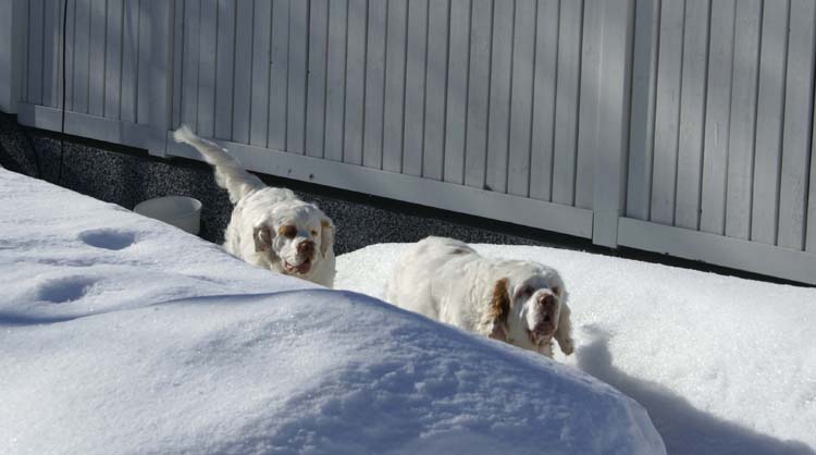 Kojo_5,5months_c_Cotton