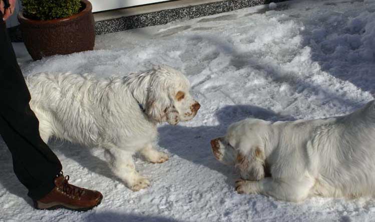 Kojo_5,5months_i_Hilla