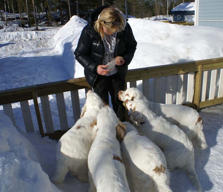 Paula_Kojo_Keke_Cotton_Bumbaa_Hilla