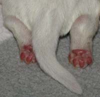 click to view more photos