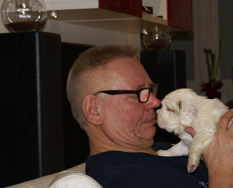 Vieno_Zorro_litter_4weeks_GirlBronze_g