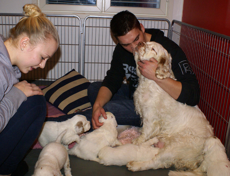 a_Vieno_Zorro_litter_4weeks_w