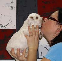 Vieno_Zorro_litter_4weeks_BoyBronze_j