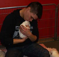 a_Vieno_Zorro_litter_4weeks_yy