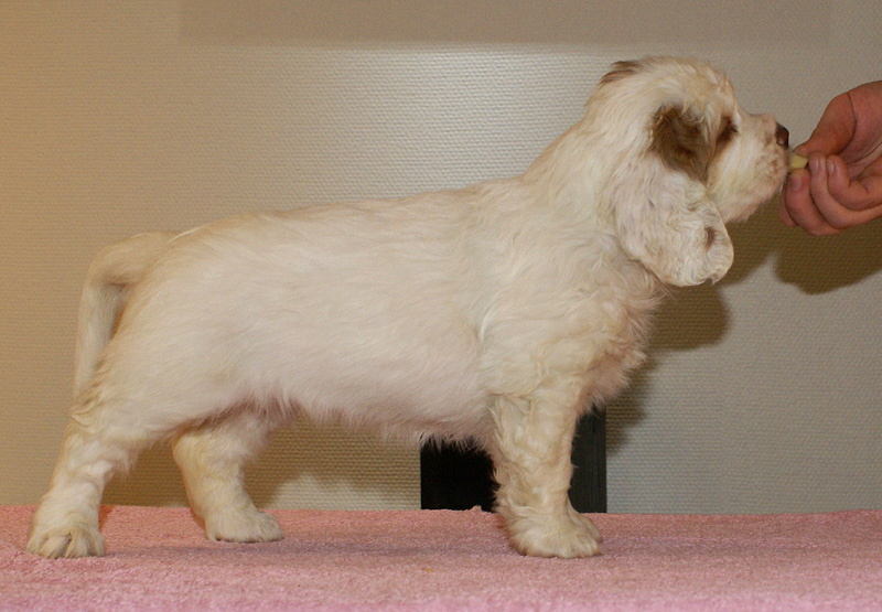 Spice_Twice_Fillyjonk_7weeks_a