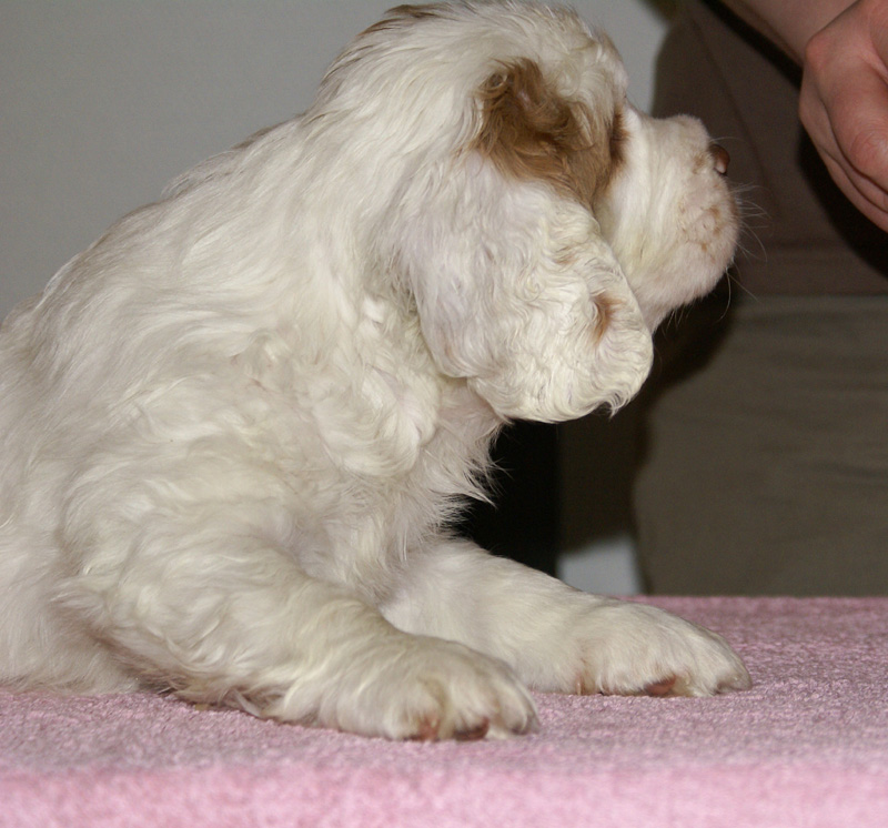 Spice_Twice_Fillyjonk_7weeks_b