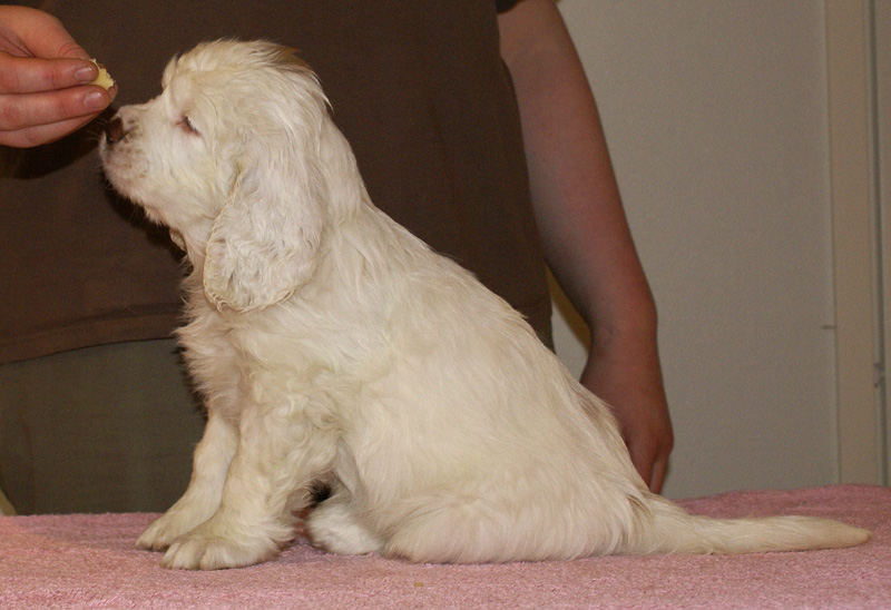 Spice_Twice_Fillyjonk_7weeks_d