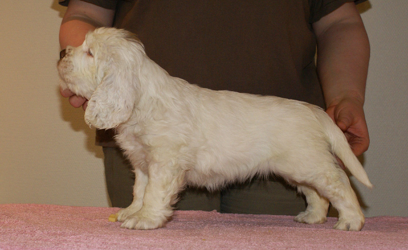 Spice_Twice_Fillyjonk_7weeks_e