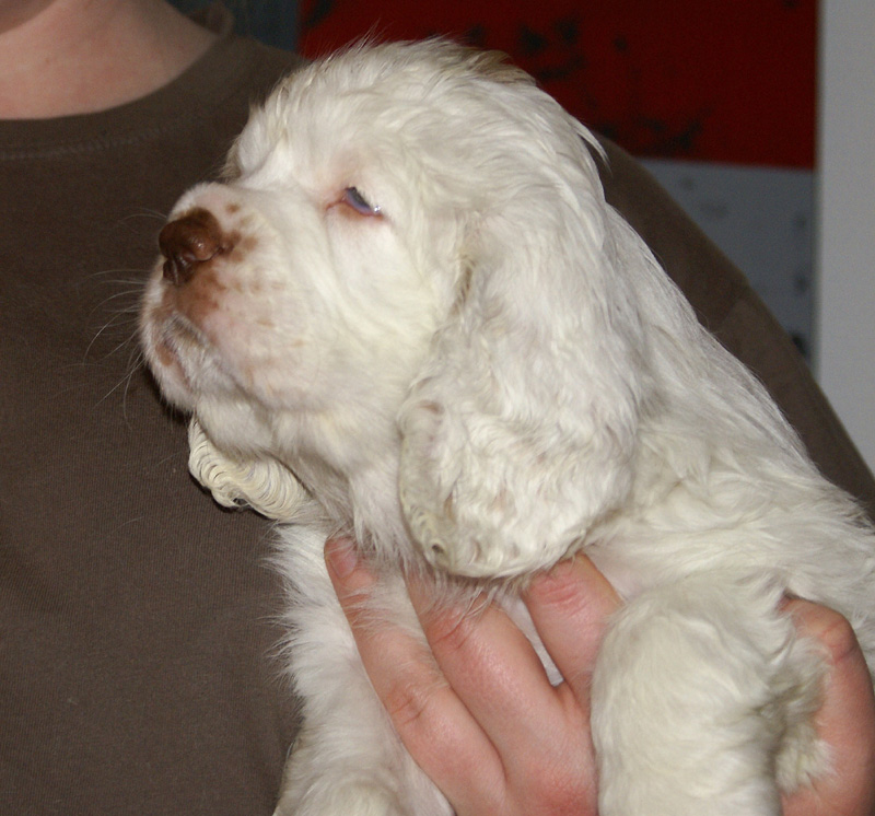 Spice_Twice_Fillyjonk_7weeks_h