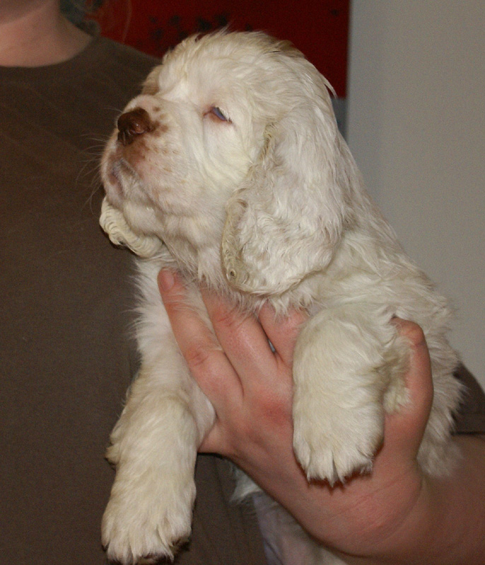 Spice_Twice_Fillyjonk_7weeks_i