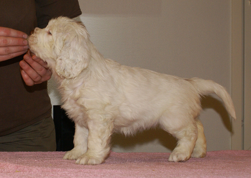 Spice_Twice_Fillyjonk_7weeks_j