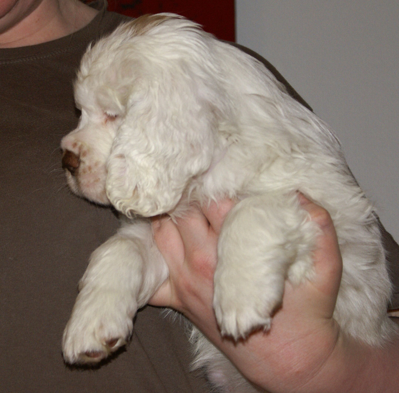 Spice_Twice_Fillyjonk_7weeks_k