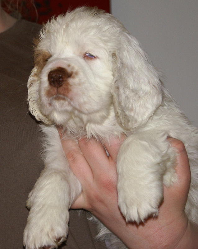 Spice_Twice_Fillyjonk_7weeks_l