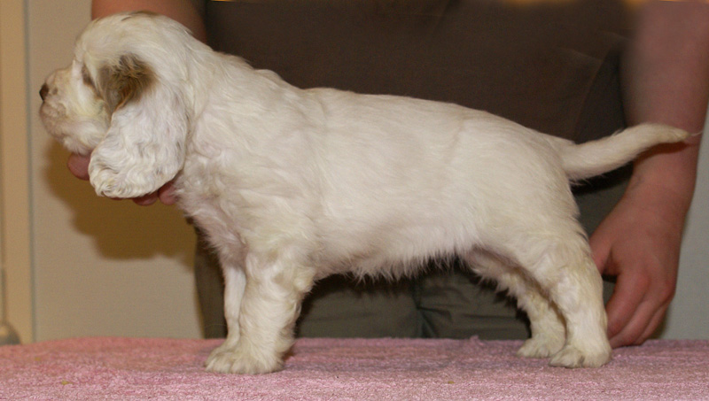 Spice_Twice_Mymble_7weeks_b