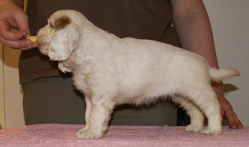 Spice_Twice_Mymble_7weeks_c