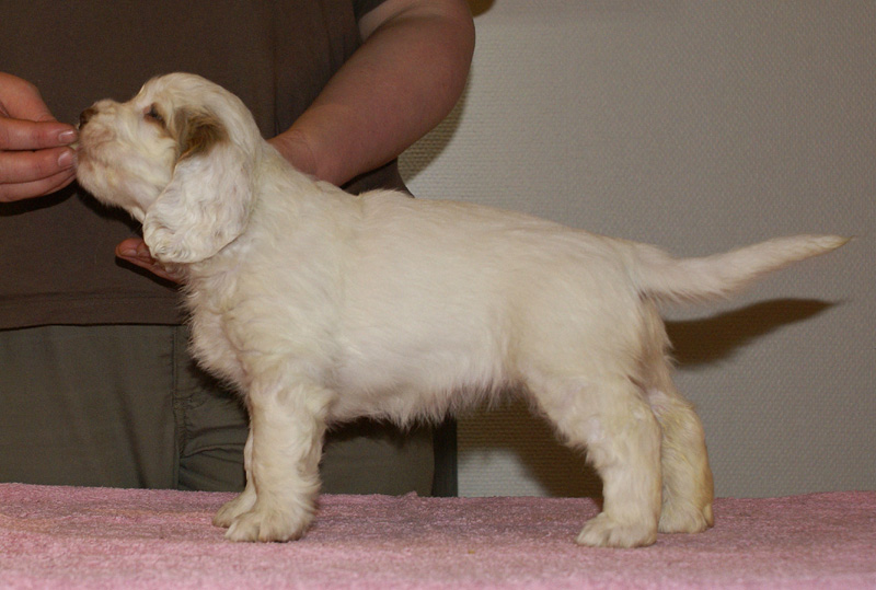 Spice_Twice_Mymble_7weeks_g