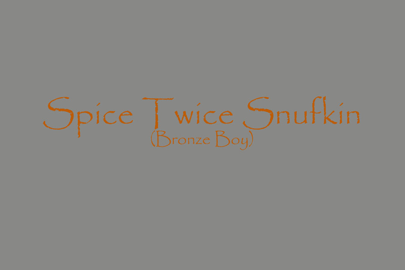 Spice_Twice_Snufkin