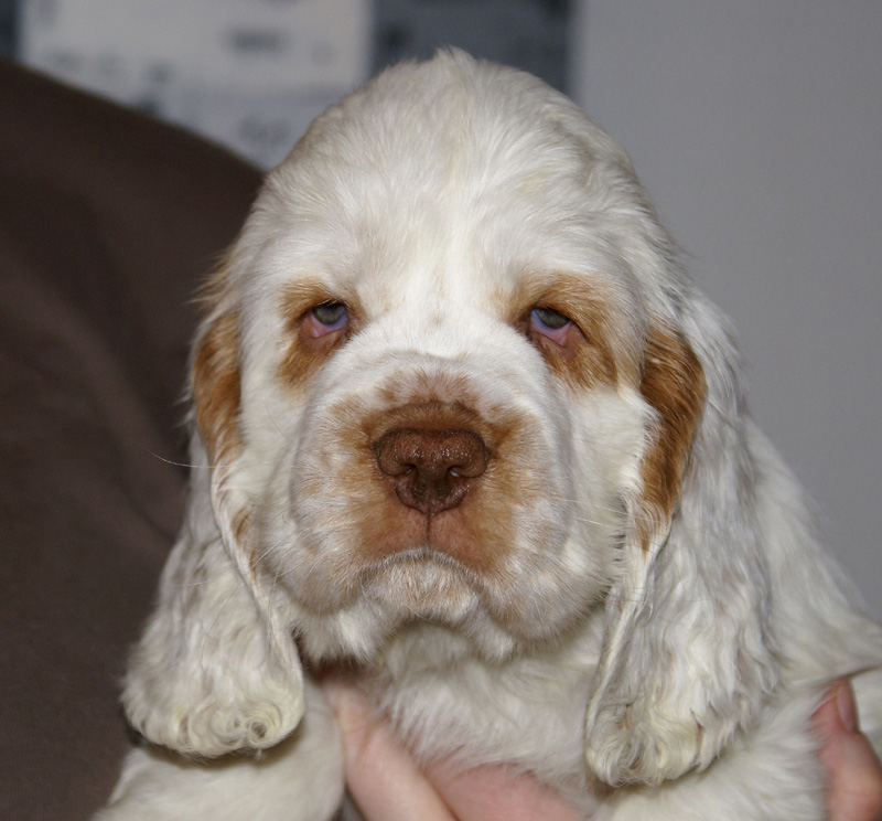 Spice_Twice_Snufkin_7weeks_a