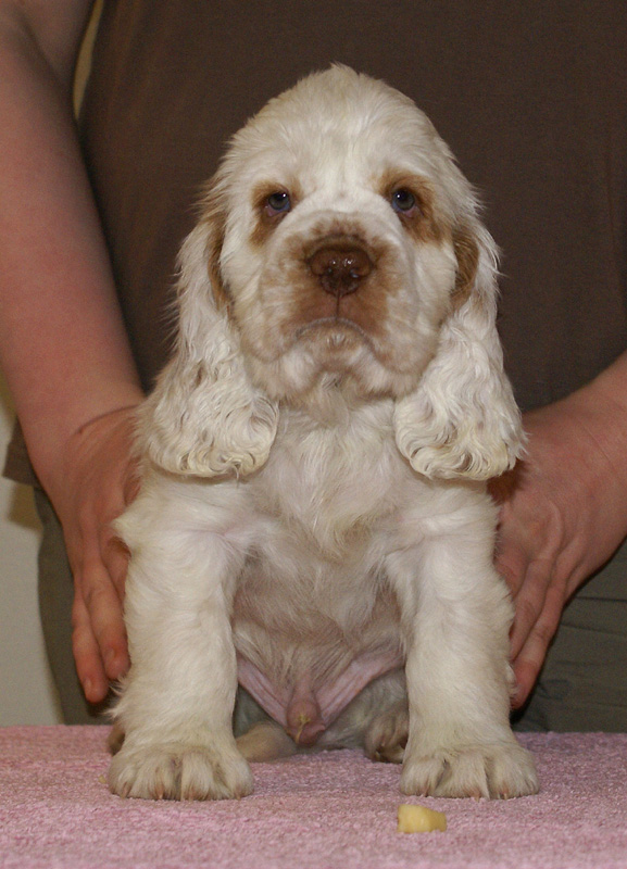 Spice_Twice_Snufkin_7weeks_d