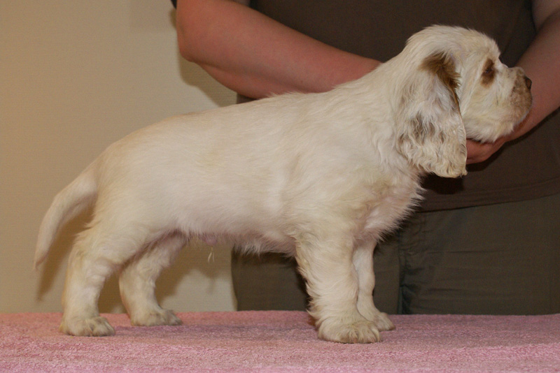 Spice_Twice_Snufkin_7weeks_h