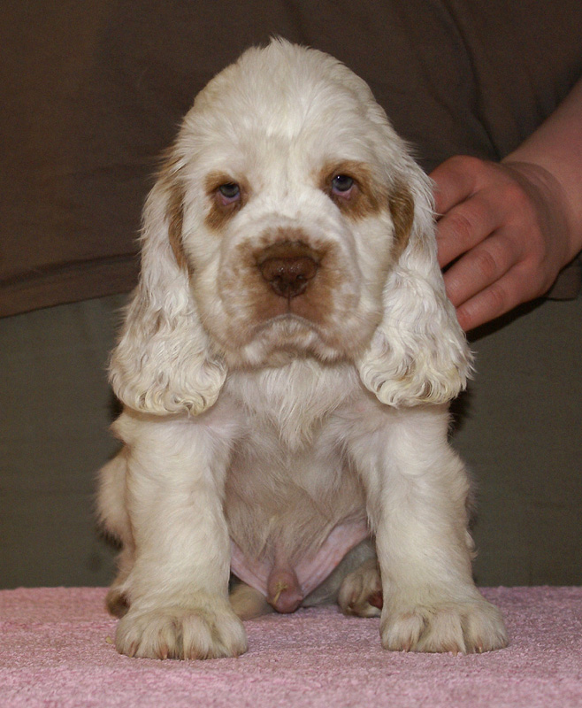 Spice_Twice_Snufkin_7weeks_l