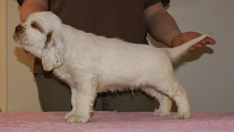 Spice_Twice_Snufkin_7weeks_n