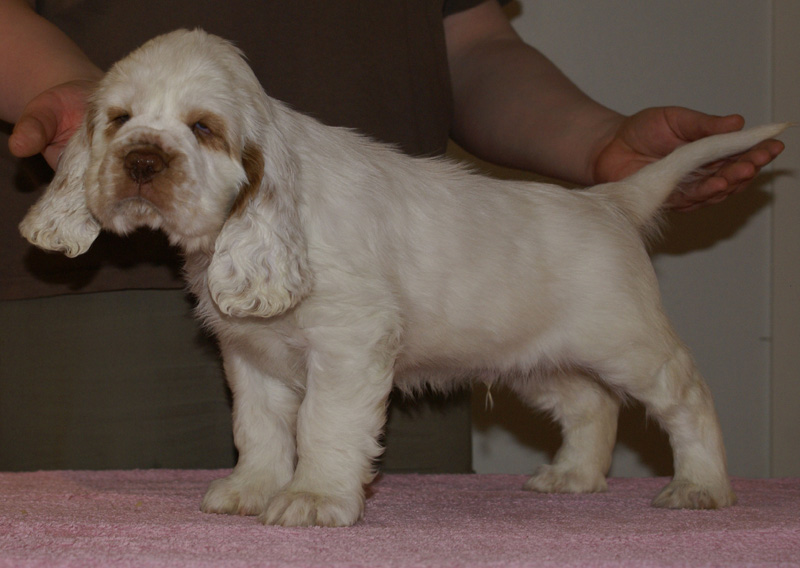 Spice_Twice_Snufkin_7weeks_o