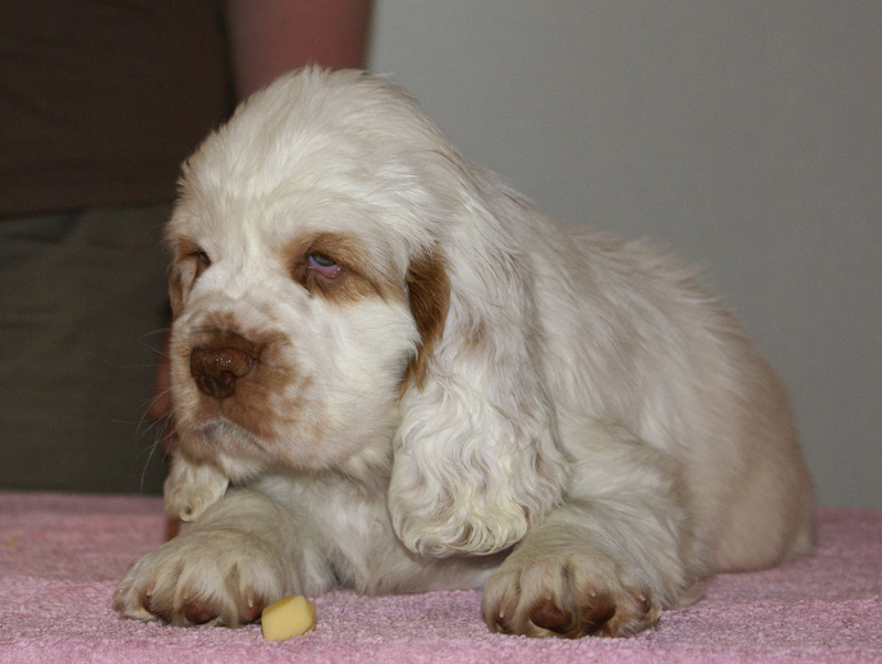 Spice_Twice_Snufkin_7weeks_p