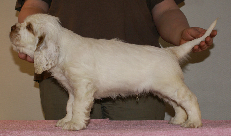 Spice_Twice_Snufkin_7weeks_q